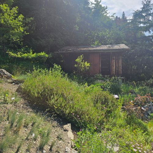Le jardin botanique Flore-Alpe dévoile ses nouveaux aménagements