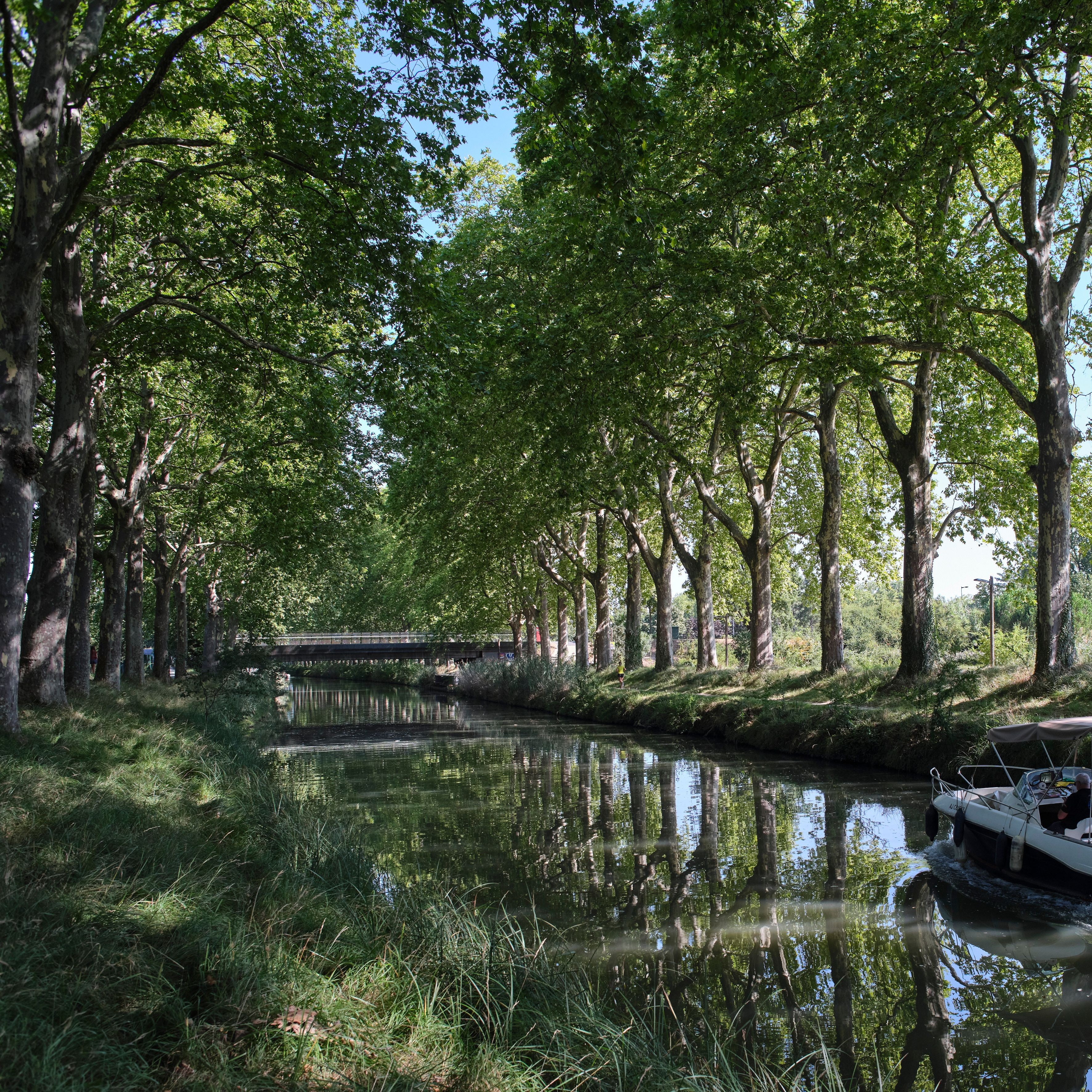 La Fondation Etrillard renouvelle son engagement pour le Canal du Midi