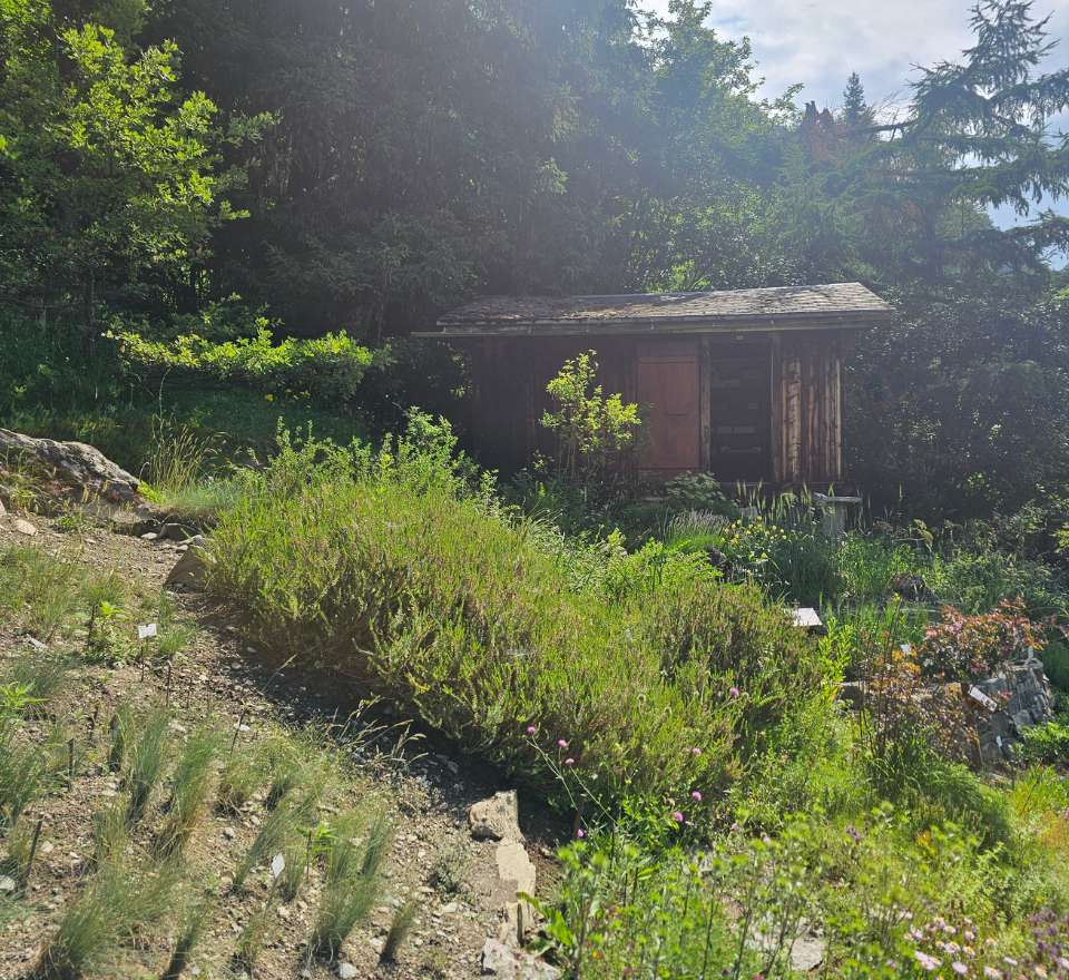 Les nouveaux aménagements du jardin botanique Flore-Alpe : les steppes au premier plan, la culture en terrasse au second
