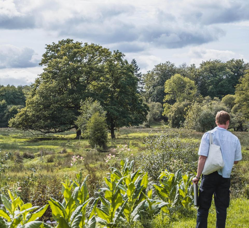 Voyage dans la Creuse, 2025 © Estelle Caumartin & Ecole supérieure de jardin