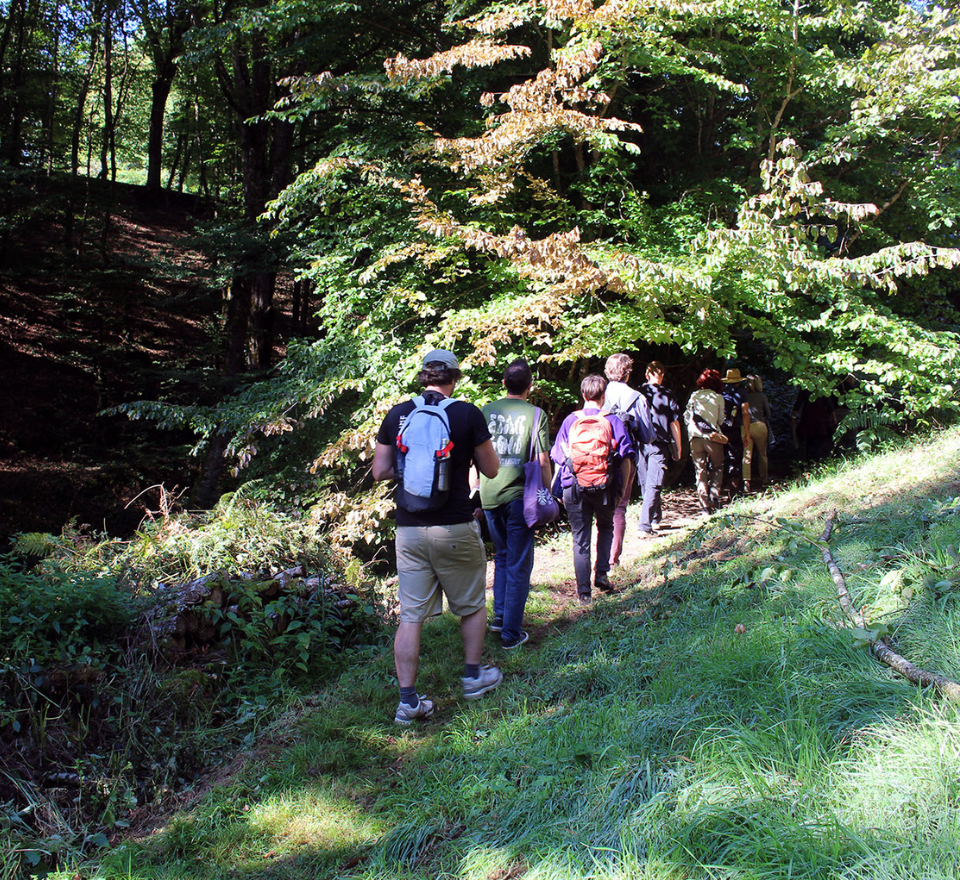 Sur les terres de Gilles Clément, Creuse, 2025 © Sophie Villemin & Ecole supérieure de jardin