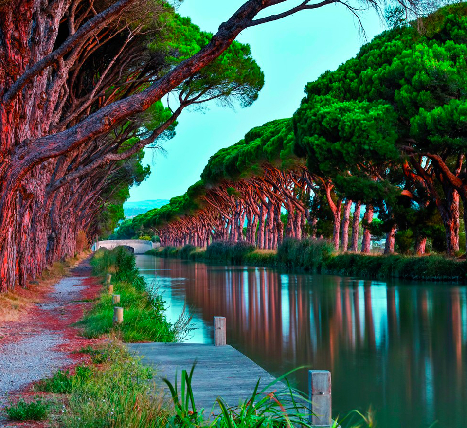 Le canal de Midi, joyau du patrimoine français