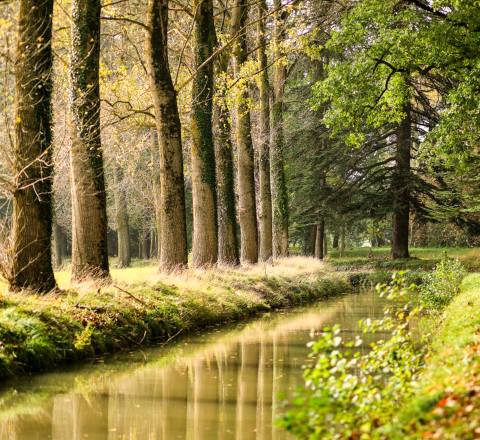 Le canal de Midi, joyau du patrimoine français