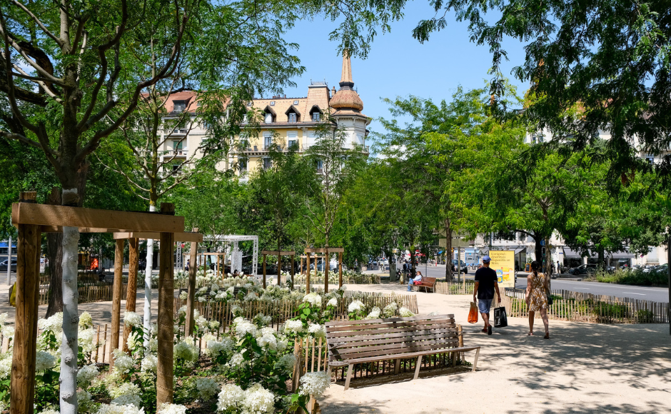 Langue de la candidature