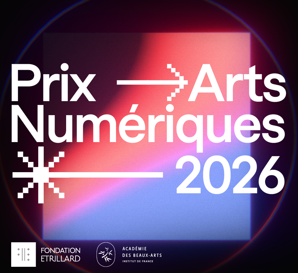 Digital Arts Prize - 2nd edition