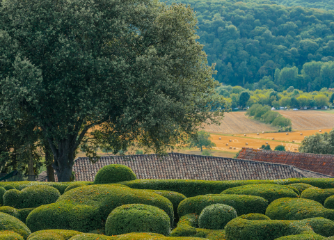 Landscaped sites