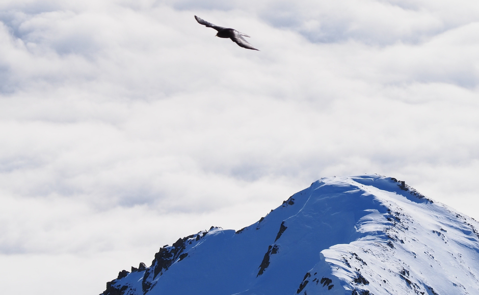 En savoir plus sur le CREA Mont-Blanc