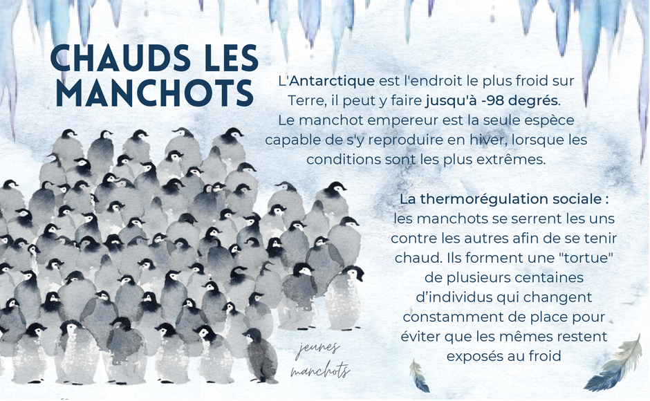 Une diffusion au plus grand nombre