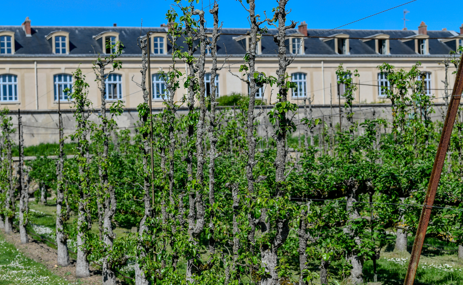 Une nouvelle École supérieure de jardin