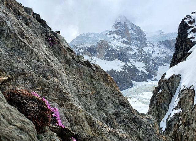 Soutien à la rénovation de l’Observatoire du Mont-Blanc