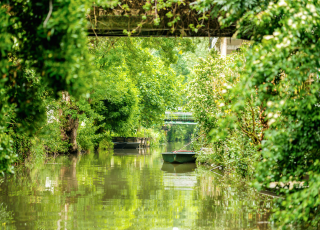 Restauration de la biodiversité en Nouvelle-Aquitaine avec le Fonds NAture